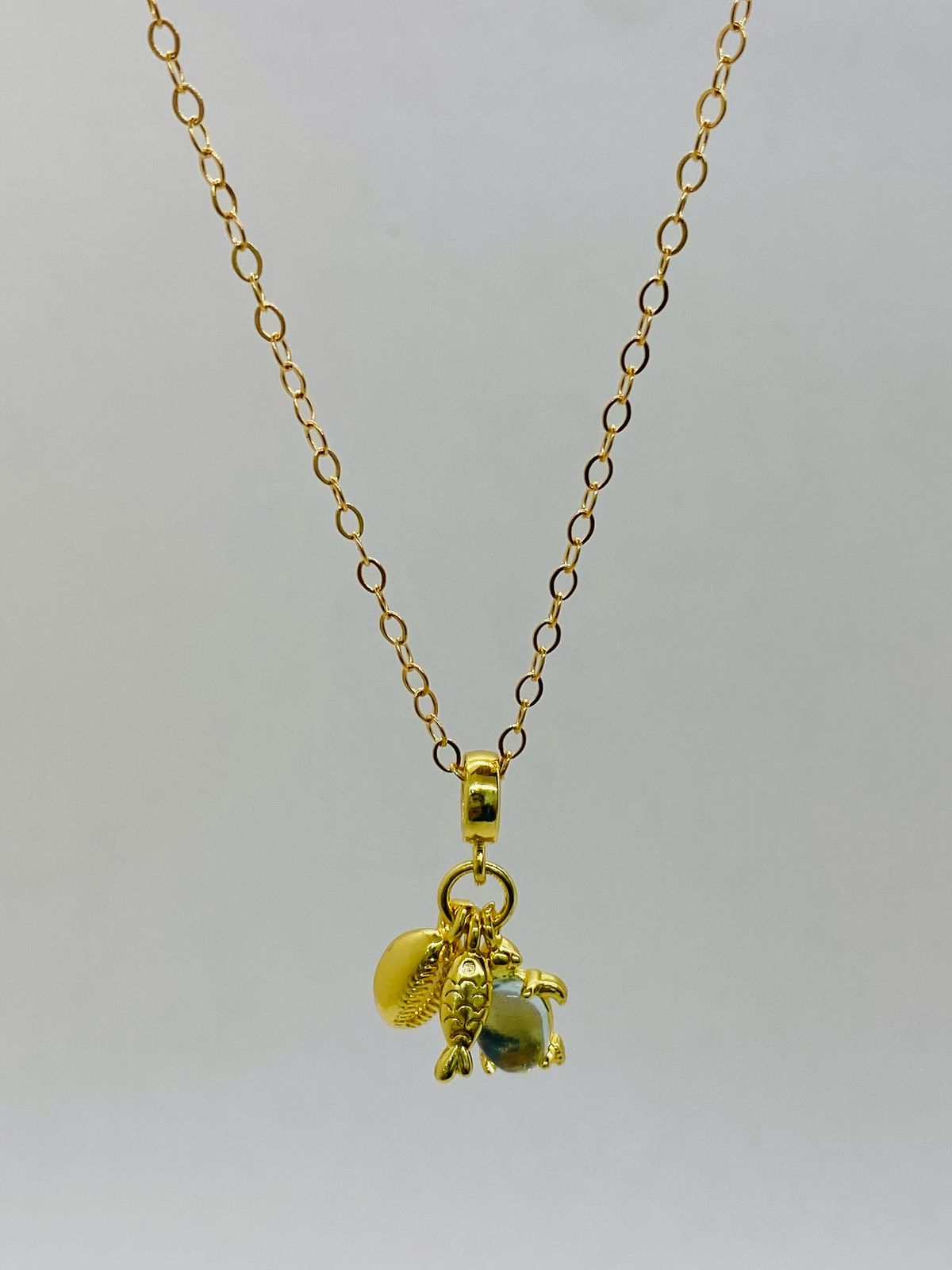 Collar Dije Tortuga, Concha y Pescado